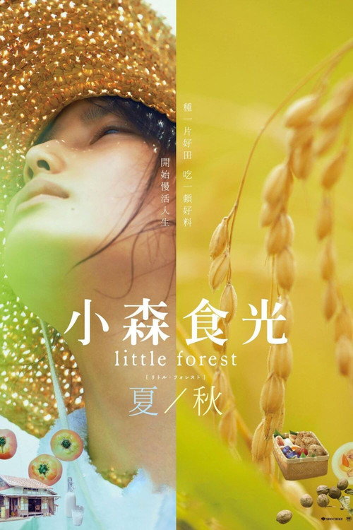 海报 · 小森林 夏秋篇