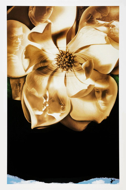 Poster · Magnolia