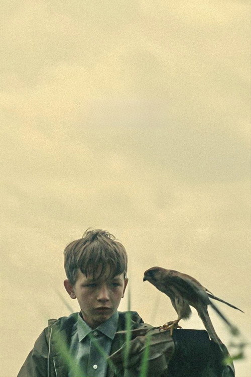 Poster · Kes