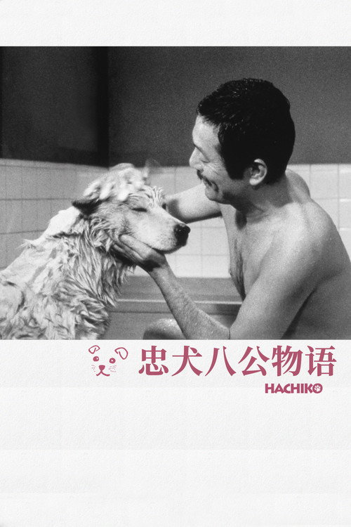 海报 · 忠犬八公物语