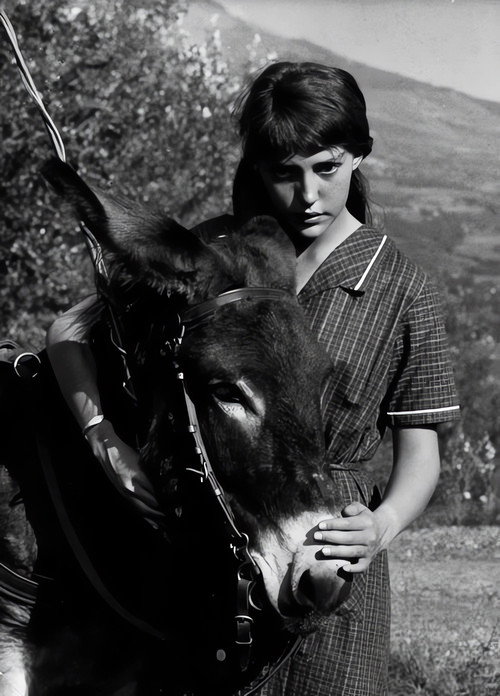 Poster · Au Hasard Balthazar