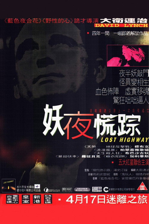 海报 · 妖夜慌踪