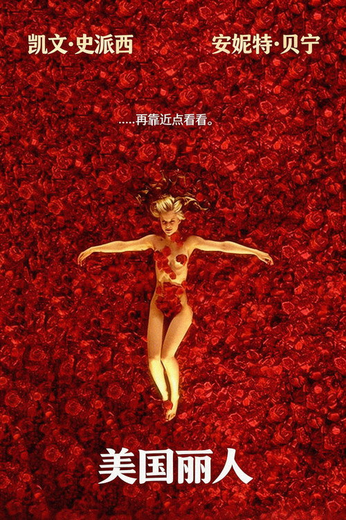 海报 · 美国丽人