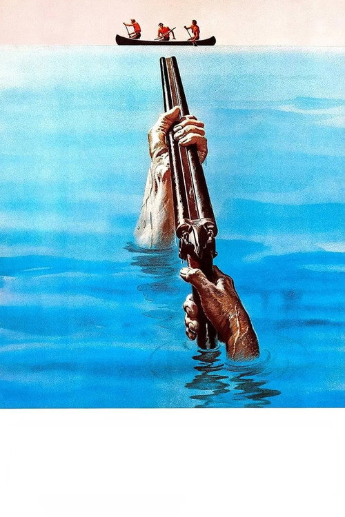 海报 · 激流四勇士