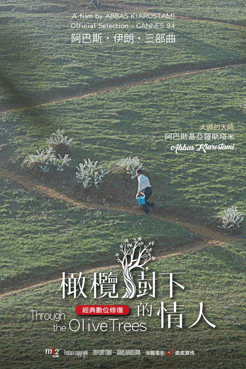 海报 · 穿越橄榄树林